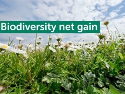 Bio Diversity Net Gain